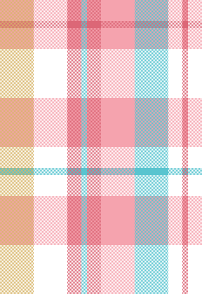 NEW MULTI PLAID