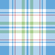 BLUE MULTI PLAID