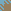 BLUE WAR, TSUPOE