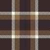 big brown check