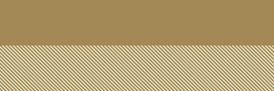 wajeeha