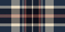 american plaid3