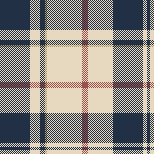 american plaid5