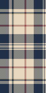 american plaid6