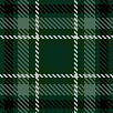 Slytherin Plaid