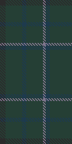 xadrez tartan 1