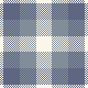 S26 YG BLUE CHECK