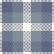 S26 YG BLUE CHECK