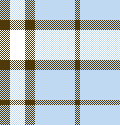 TROUSER PLAID