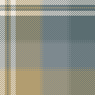 blue plaid 1
