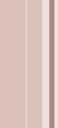 ZW stripe 9