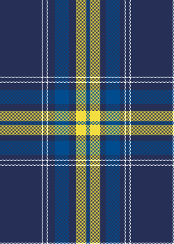 Navy Blue Yellow Classic