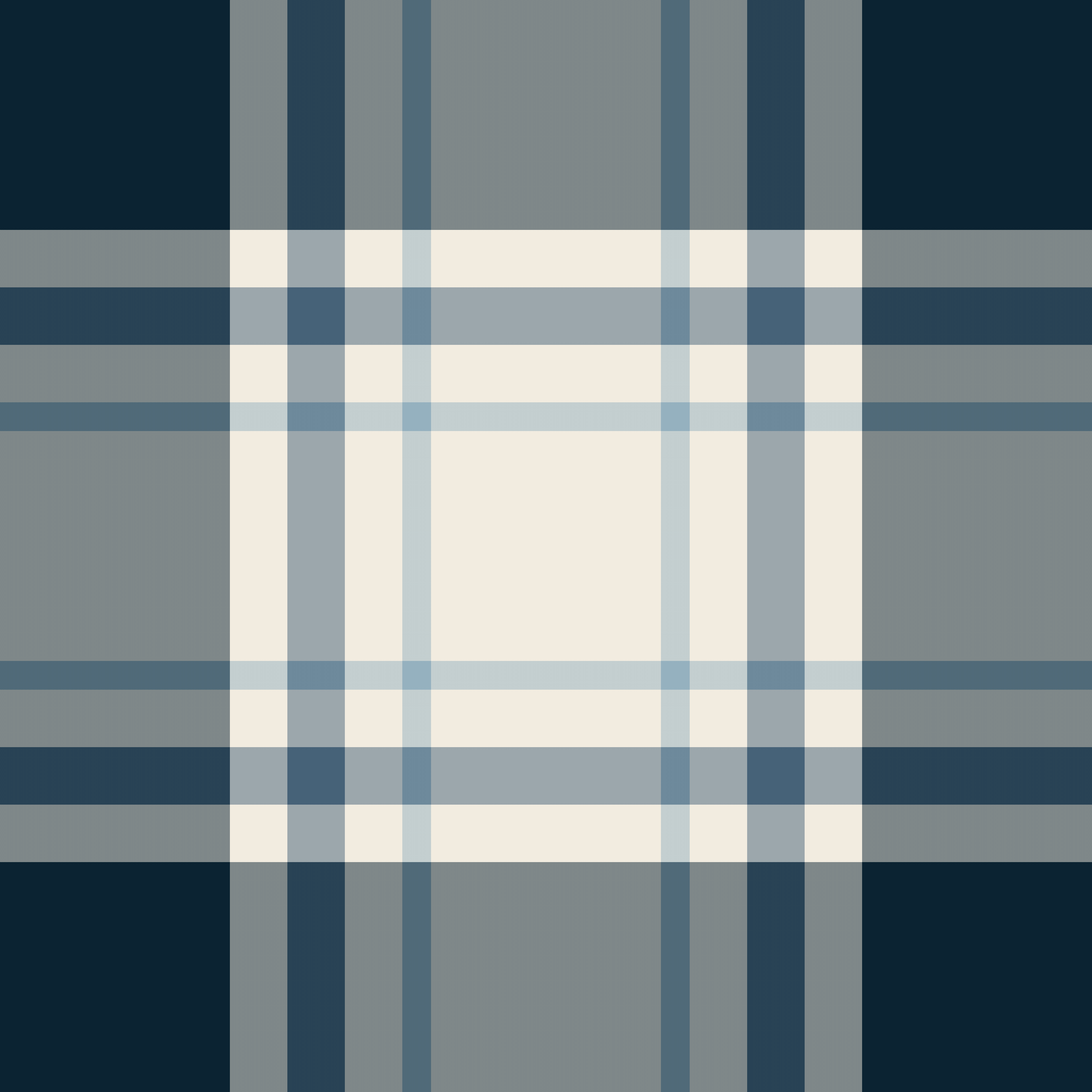 midnight nautical plaid