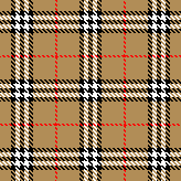 buberry check 2x2