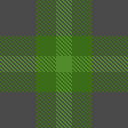 paige plaid