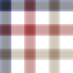 W27 New Gingham
