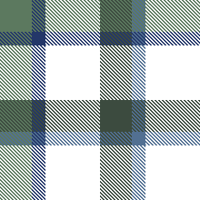 W27 New Gingham