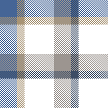 W27 New Gingham 4