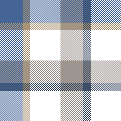 W27 New Gingham 5