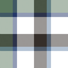 W27 New Gingham 6