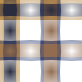 W27 Classic Gingham #2