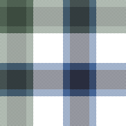 W27 Classic Oxford Check