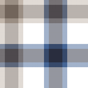 w27 New Classic Gingham