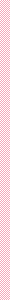 PInk stripe on Twill