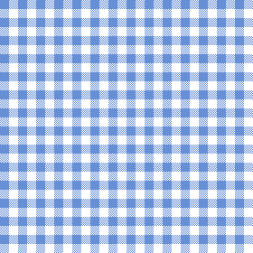 gingham blue