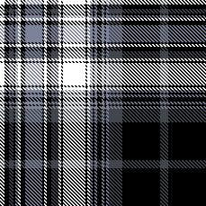 blk char plaid