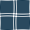 navy check