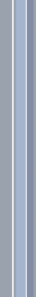 ZD stripe 10
