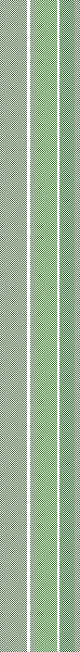 ZD stripe 11