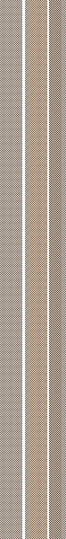 ZD stripe 13