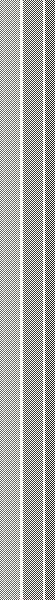 ZD stripe 15