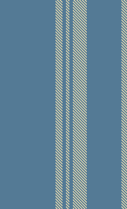ZD stripe 22