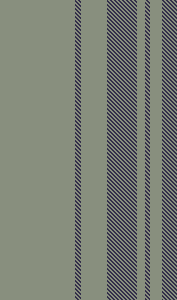 ZD stripe 27