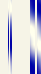 ZD stripe 37
