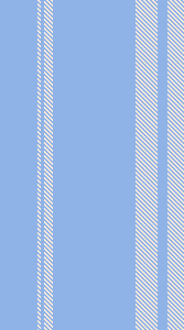 ZD stripe 41