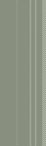 ZF stripe 5