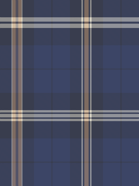 ZH stripe 6