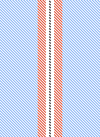 ZL stripe 1