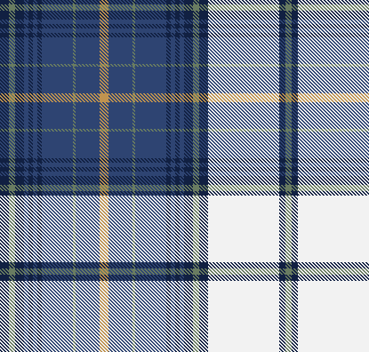 W27 Plaid Check