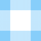 gingham blue