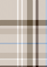 TEAMS CHECK PLAID