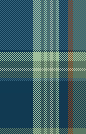 GREEN CHECKS