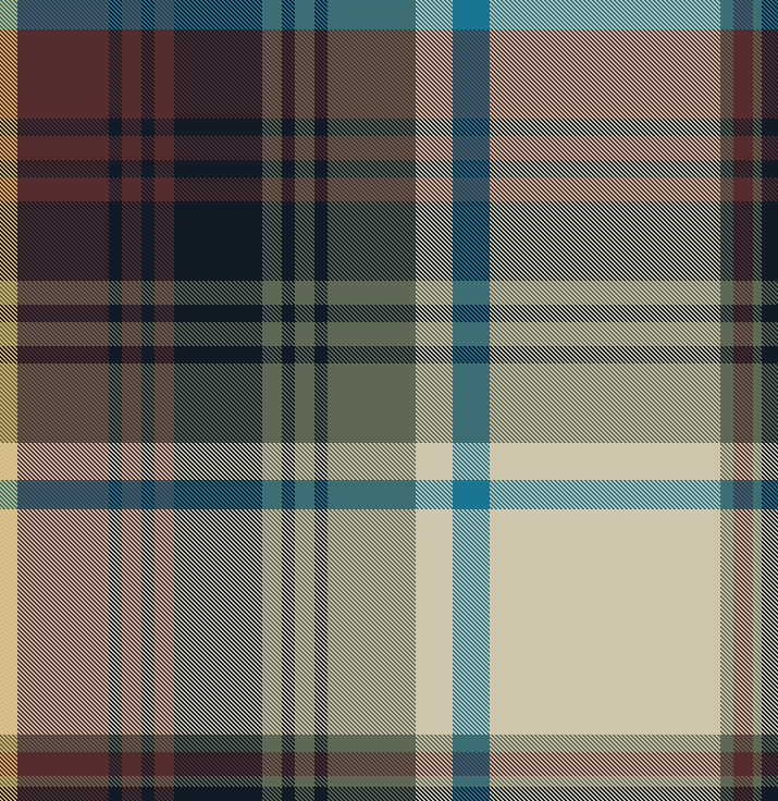 AKD_PERRYPLAID1