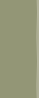 ZH stripe 4