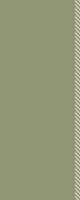 ZH stripe 4