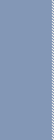 ZH stripe 5